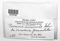 Image Associated With the Occurence